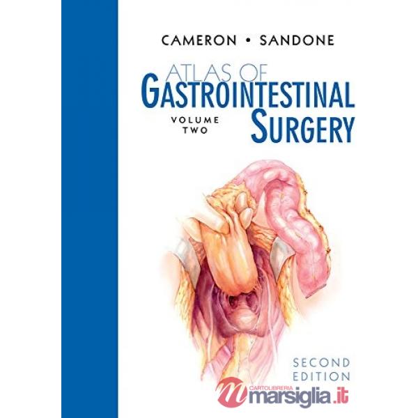 Atlas of gastrointestinal surgery. Vol. 2