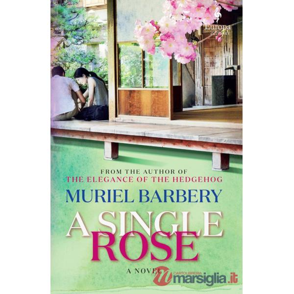 A single rose