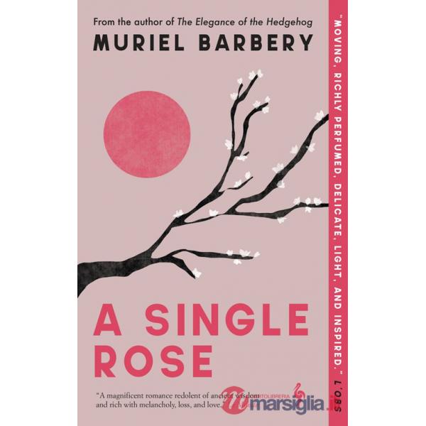 A single rose