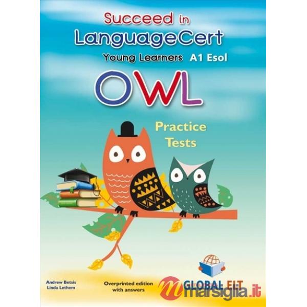 SUCCEED IN LANGCERT CEF A1 SB W KEY