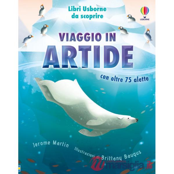 Viaggio in Artide