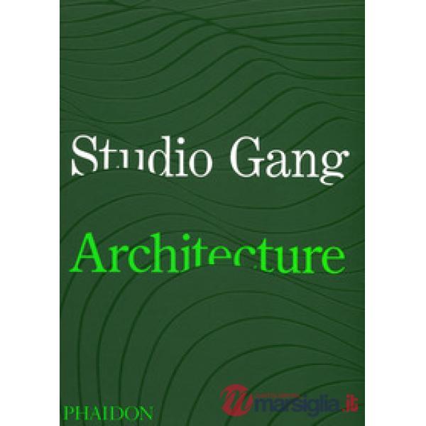 Studio Gang. Ediz. a colori