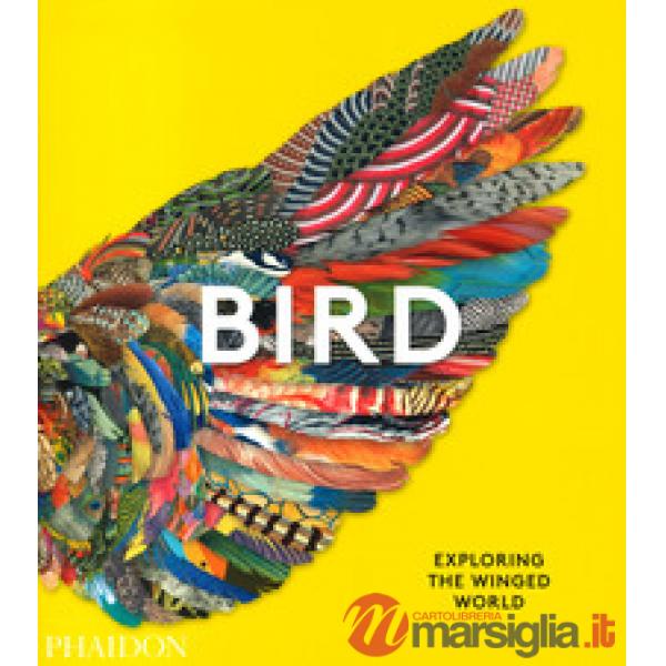 Bird. Ediz. a colori