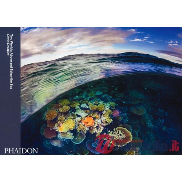 Two worlds: above and below the sea
