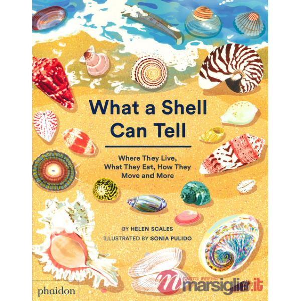 What a shell can tell. Where they live, what they eat, how they move and more
