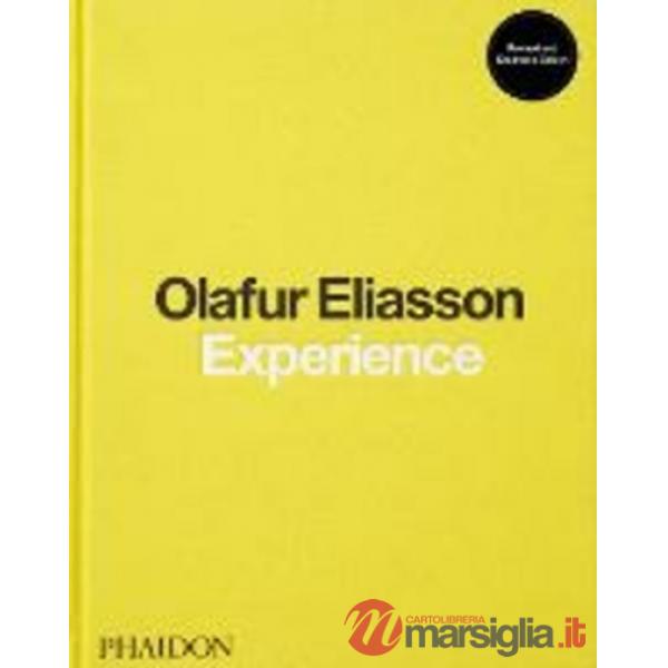 Olafur Eliasson. Experience