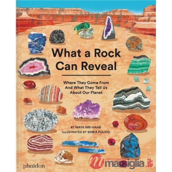 What a rock can reveal. Where they come from and what they tell us about our planet