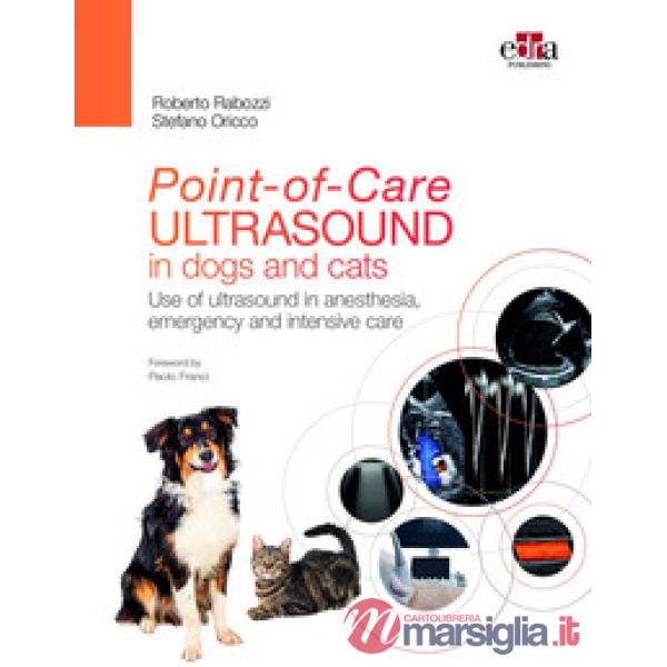 Point-of-Care ultrasound in dogs and cats. Use of ultrasound in anesthesia, emergency and intensive care