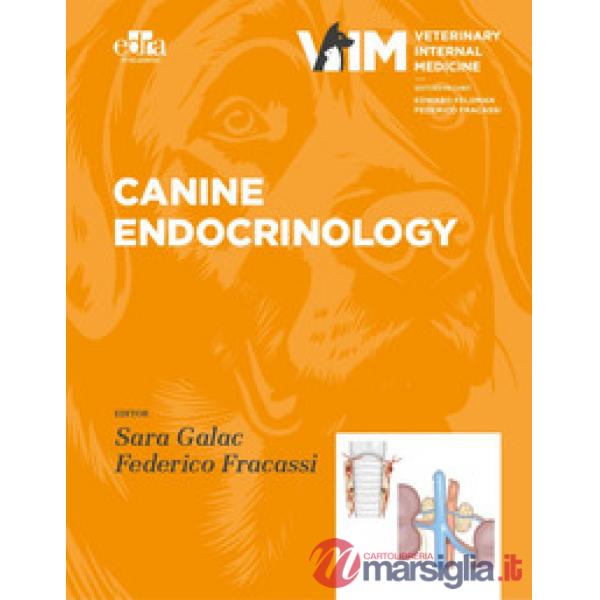 Canine Endocrinolgy
