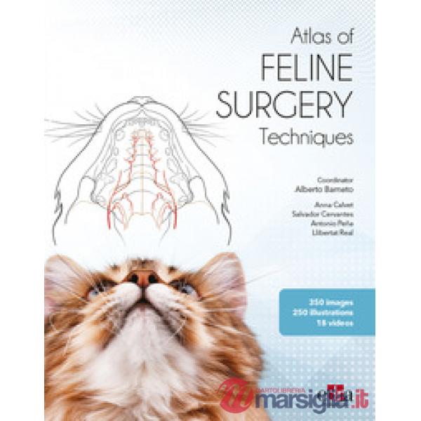 Atlas of feline surgery techniques