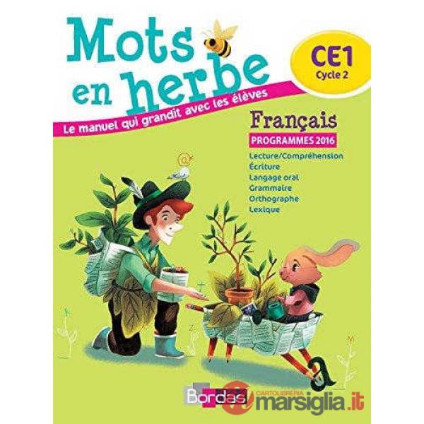 MOTS EN HERBE CE1