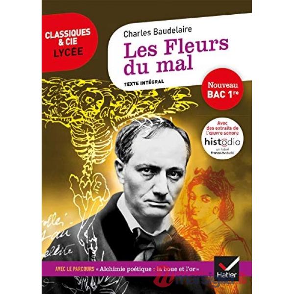 CLASS & CIE LYC LES FLEURS DU MAL
