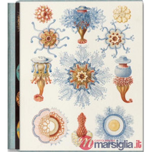 Art and science of Ernst Haeckel. Ediz. inglese, francese e tedesca (The)