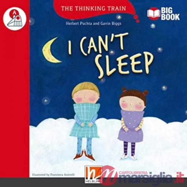 TRAIN A I CAN'T SLEEP BIG BOOK