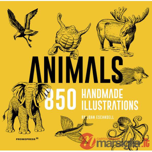 Animals. 850 handmade illustrations