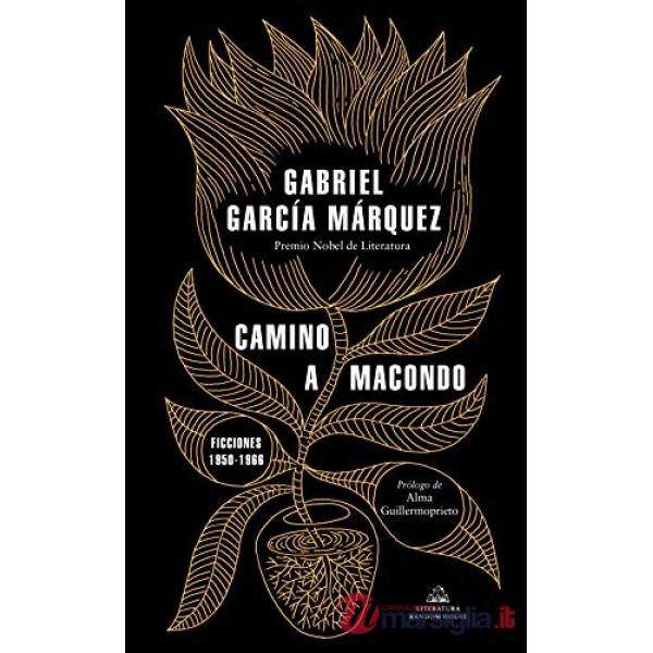 CAMINO A MACONDO