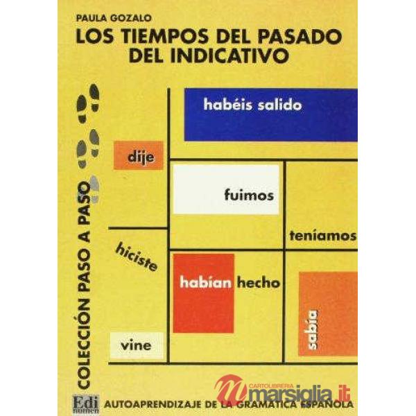 LOS TIEMPOS DEL PASADO DEL INDICATIVO