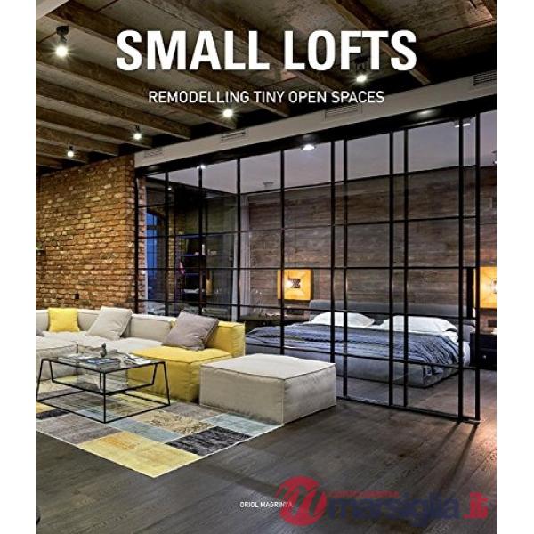 Small lofts. Remodelling tiny open spaces. Ediz. illustrata