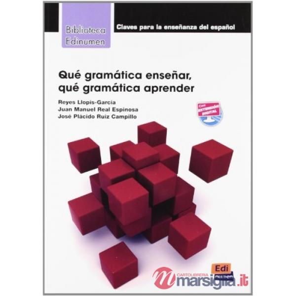 BIBLIOTECA - QUE GRAMATICA ENSENAR?