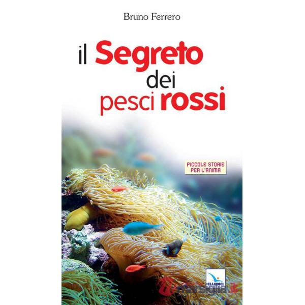 Segreto dei pesci rossi (Il)