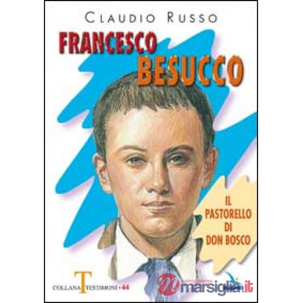 Francesco Besucco. Il pastorello di Don Bosco. Vol. 2