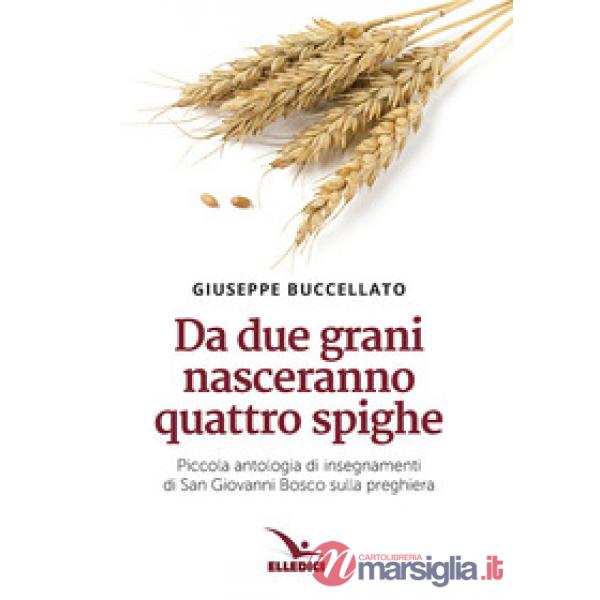 Da due grani nasceranno quattro spighe. Piccola antologia di insegnamenti di San Giovanni Bosco sulla preghiera