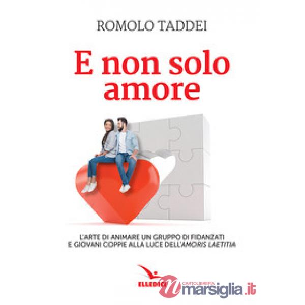 E non solo amore. L'arte di animare un gruppo di fidanzati e giovani coppie alla luce dell'amoris laetitia