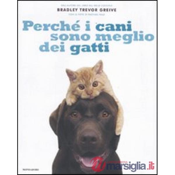 Perché i cani sono meglio dei gatti