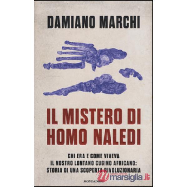 Mistero di Homo naledi. Chi era e come viveva il nostro lontano cugino africano: