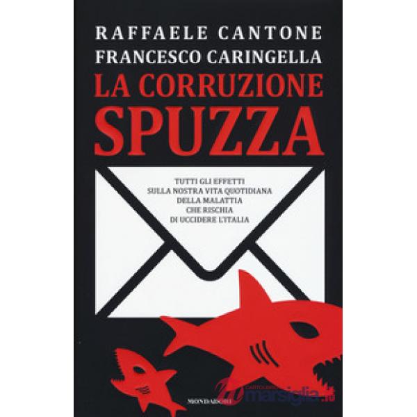 Corruzione spuzza. Tutti gli effetti sulla nostra vita quotidiana della malattia che rischia di uccidere l'Italia (La)