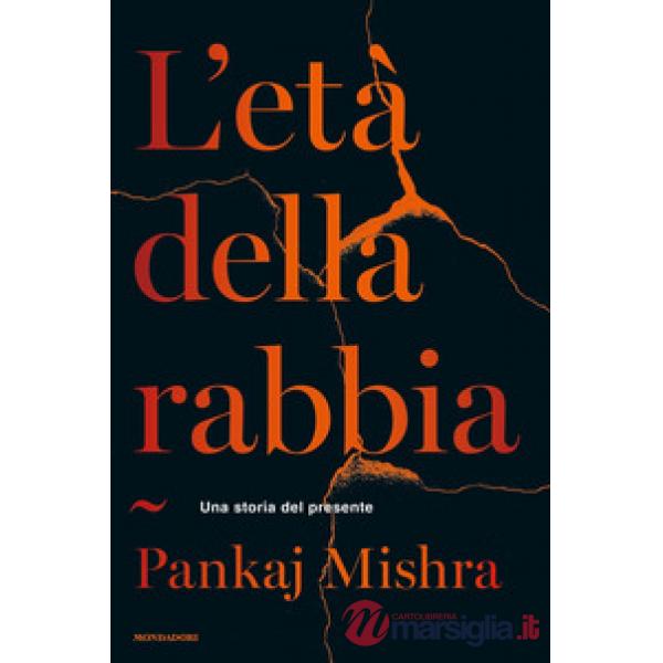 Età della rabbia. Una storia del presente (L')