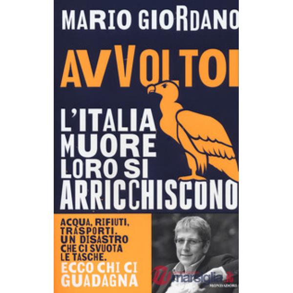 Avvoltoi. L'Italia muore loro si arricchiscono. Acqua, rifiuti, trasporti. Un disastro che ci svuota le tasche. Ecco chi ci guad
