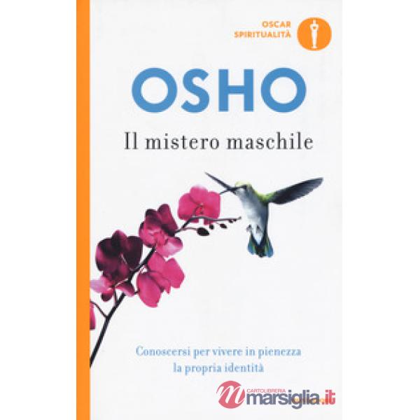 Mistero maschile (Il)