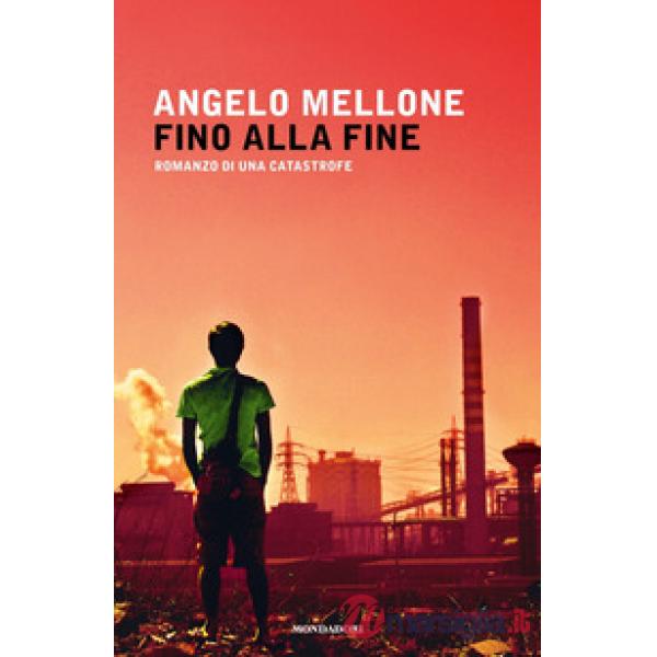 Fino alla fine. Romanzo di una catastrofe