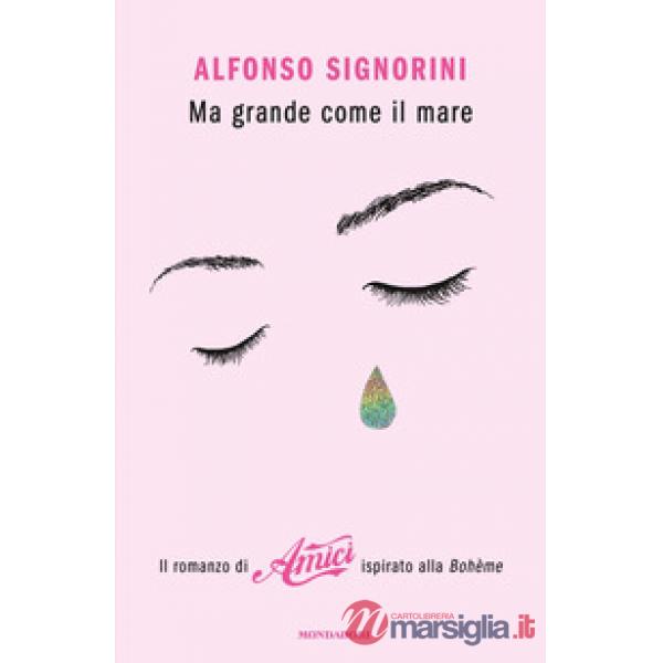 Ma grande come il mare. Il romanzo di «Amici» ispirato alla Bohème