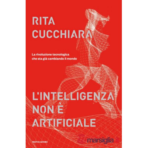 Intelligenza non è artificiale. La rivoluzione tecnologica che sta già cambiando il mondo (L')