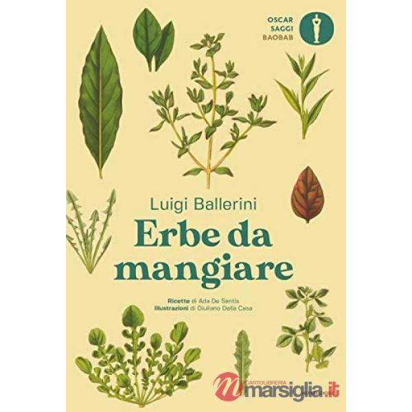 Erbe da mangiare