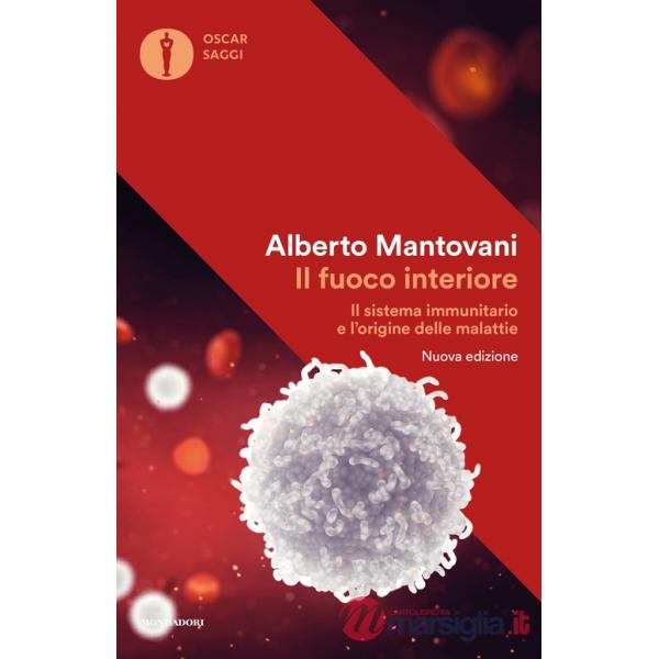 Fuoco interiore. Il sistema immunitario e l'origine delle malattie. Nuova ediz. (Il)