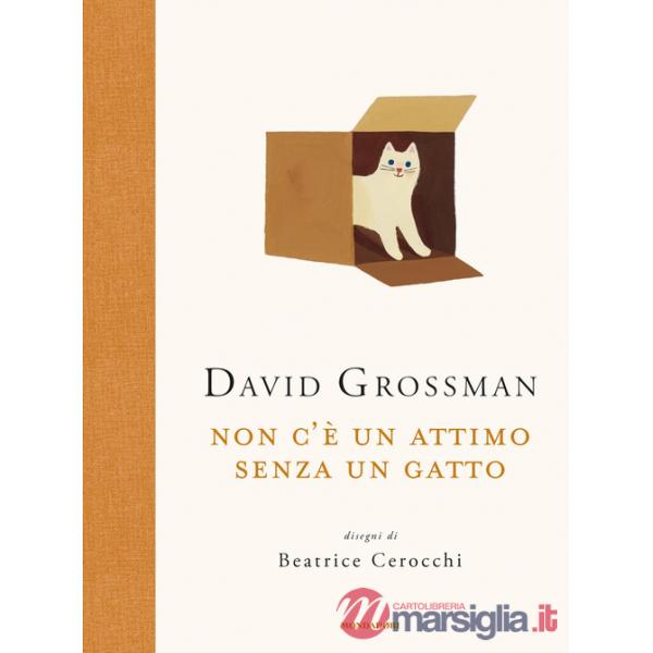 Non c'è un attimo senza un gatto