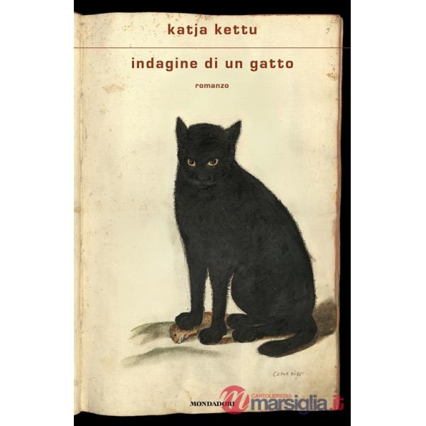 Indagine di un gatto