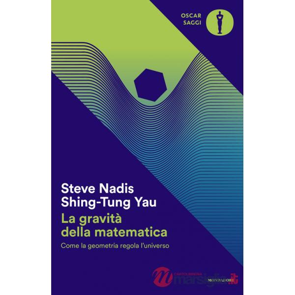 Gravità della matematica. Come la geometria regola l'universo (La)