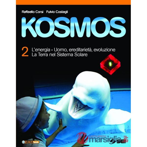 KOSMOS 2