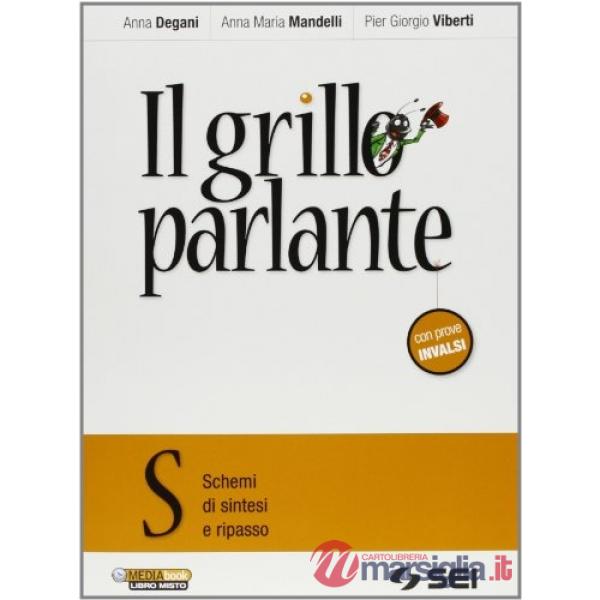 IL GRILLO PARLANTE 2013 S QUADERNO SCHEMI DI SINTESI