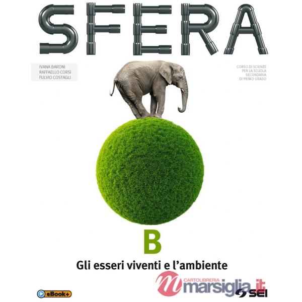 SFERA B VITA