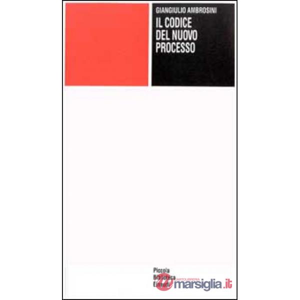 Codice nel nuovo processo (Il)
