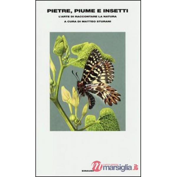 Pietre, piume e insetti. L'arte di raccontare la natura
