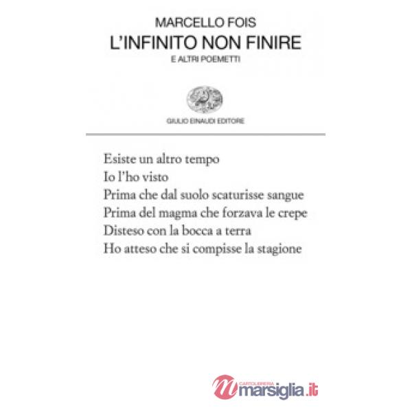 Infinito non finire (L')