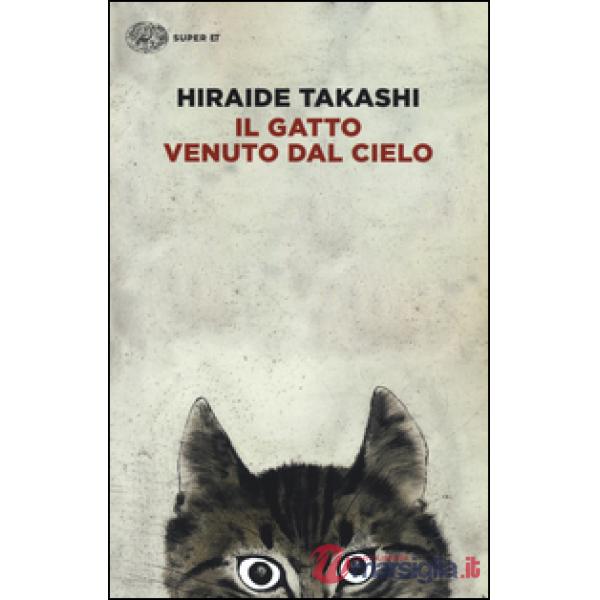 Gatto venuto dal cielo (Il)