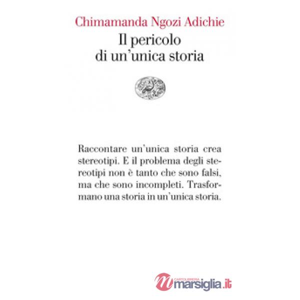 Pericolo di un'unica storia (Il)