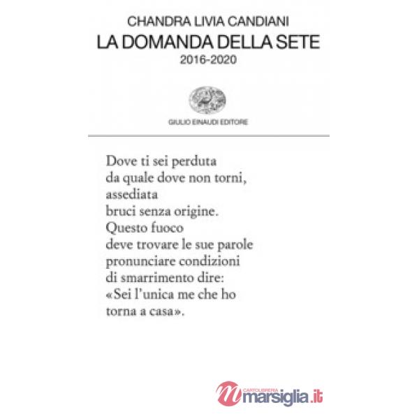 Domanda della sete 2016-2020 (La)